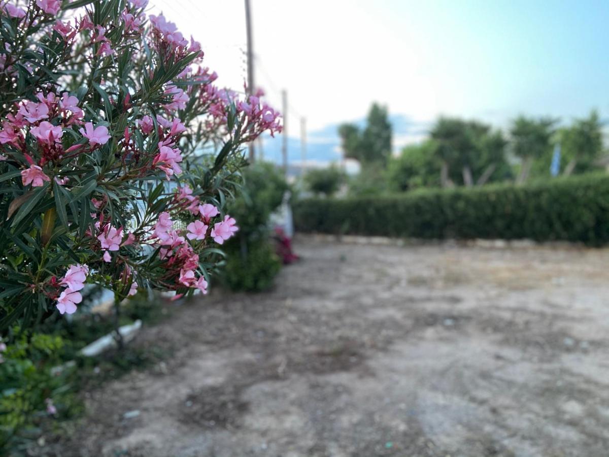 Athens Riviera: 2 Bed / 3' Walk From The Beach Agia Marina  Екстер'єр фото